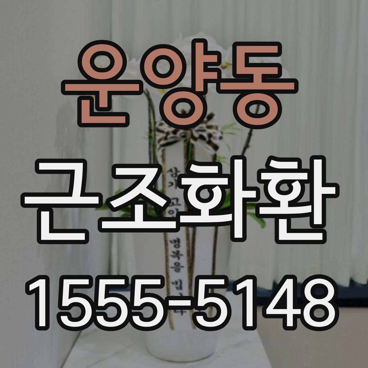 운양동 근조화환