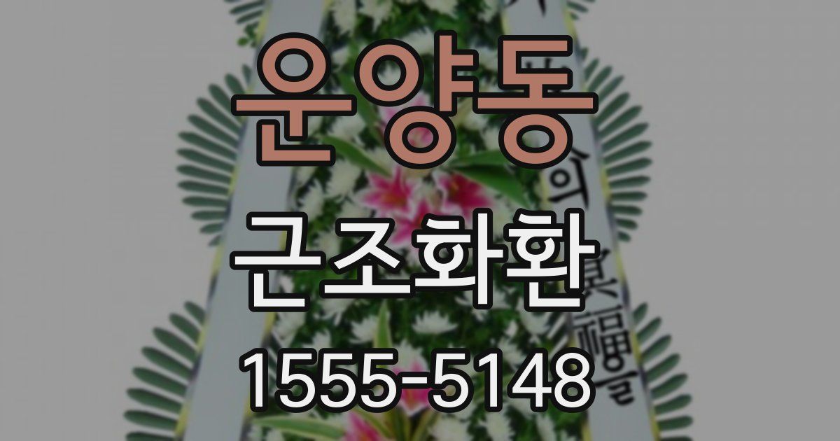 운양동 근조화환