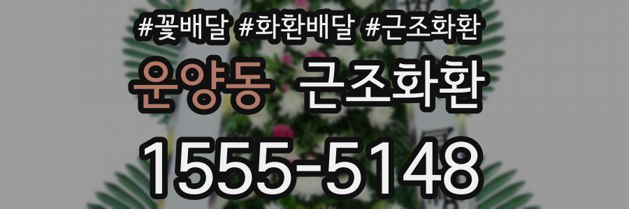 운양동 근조화환