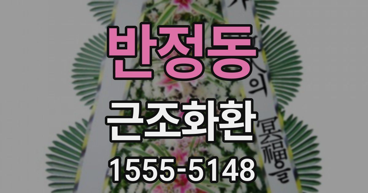 반정동 근조화환