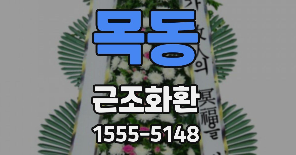 목동 근조화환