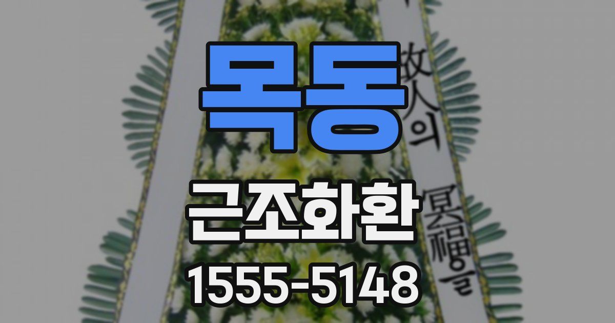 목동 근조화환