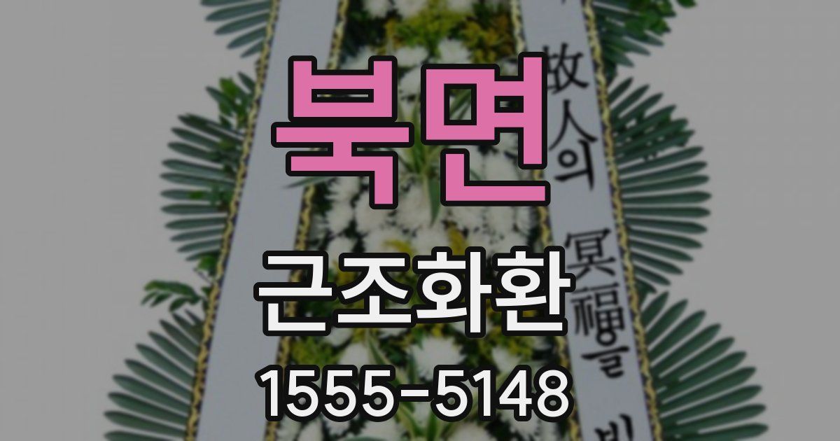 북면 근조화환