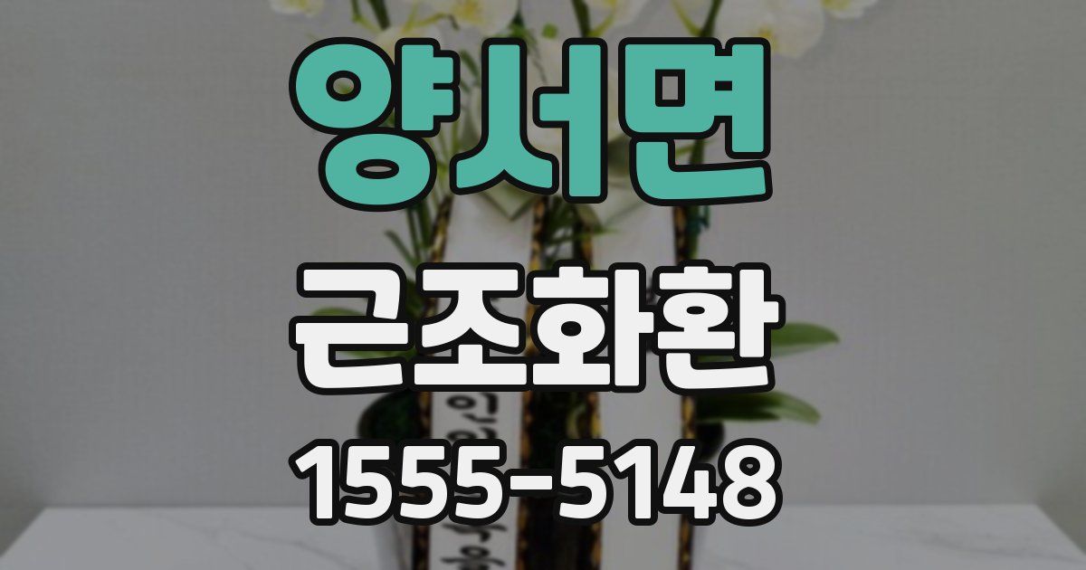 양서면 근조화환