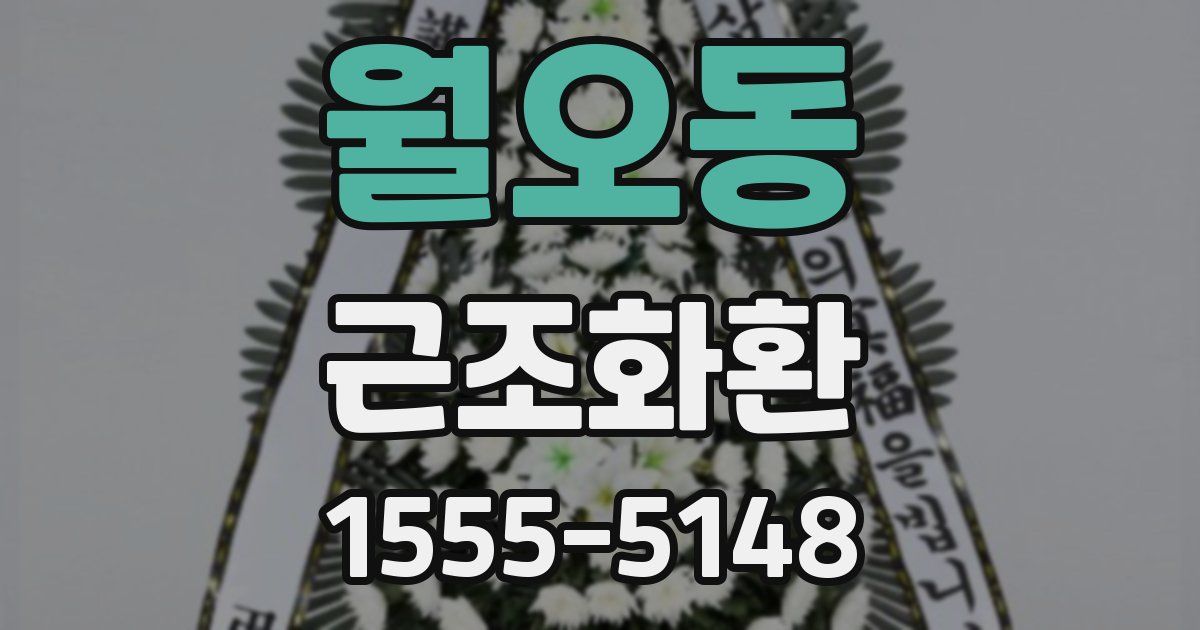 월오동 근조화환
