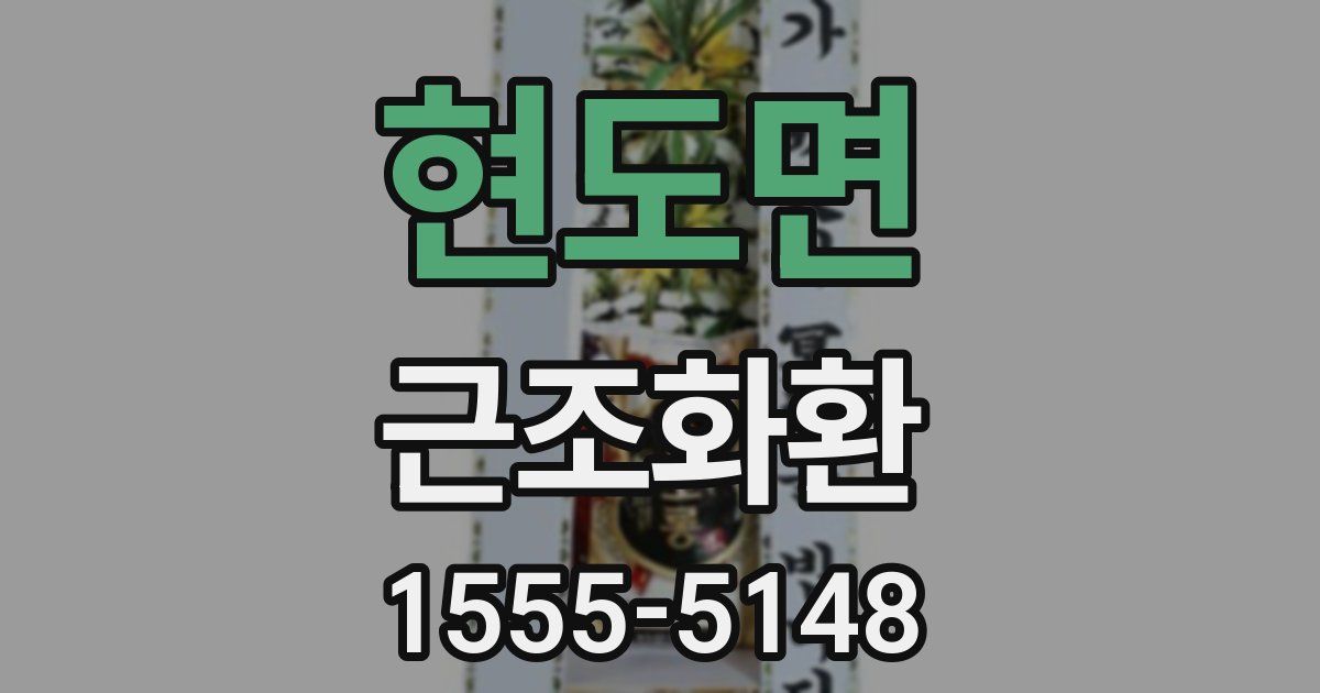 현도면 근조화환