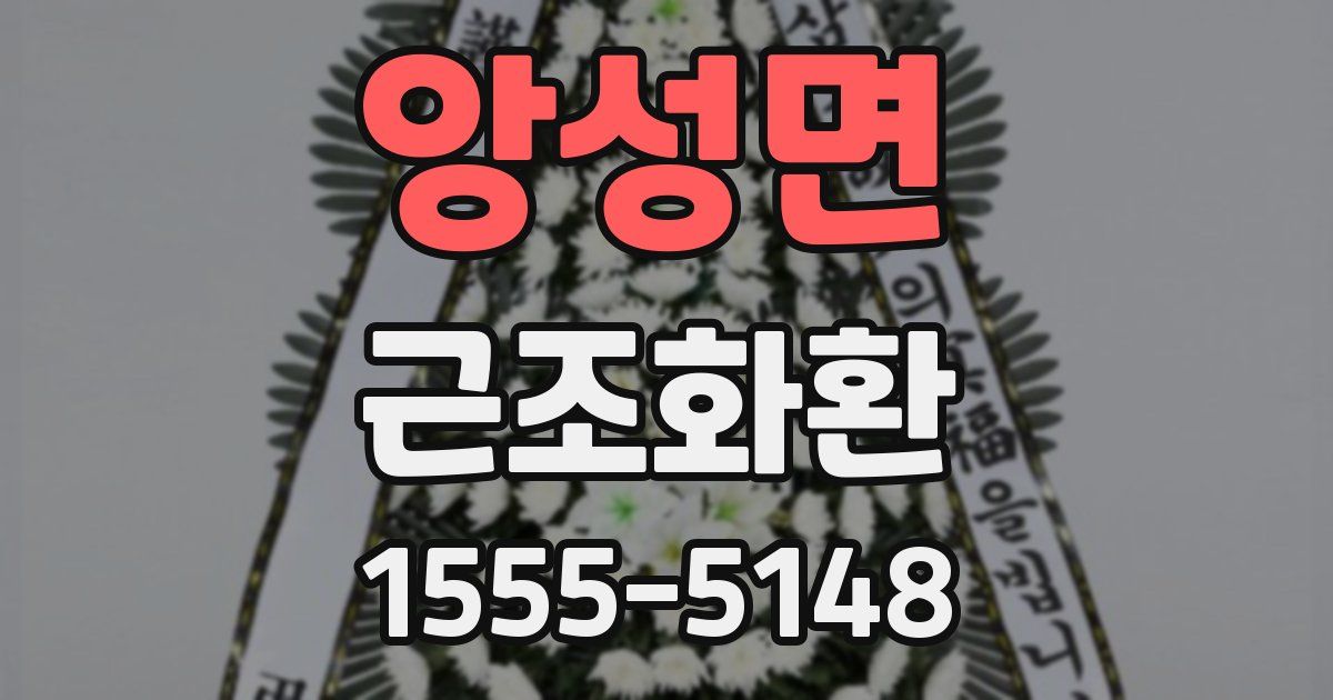 앙성면 근조화환
