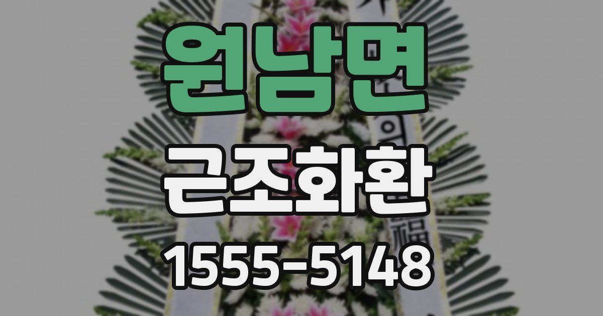 원남면 근조화환