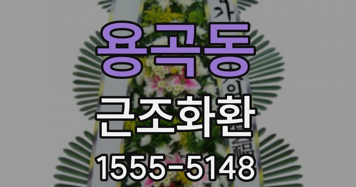 용곡동 근조화환