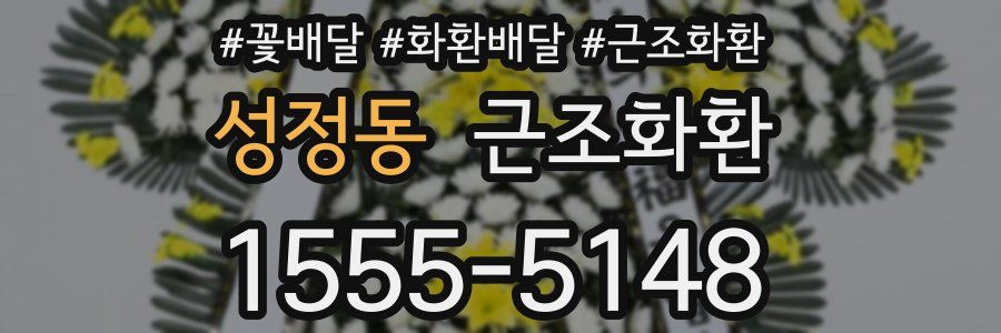 성정동 근조화환