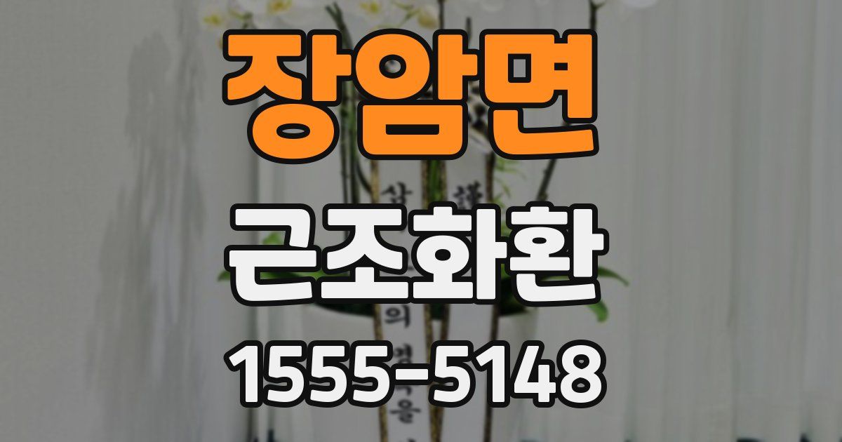 장암면 근조화환