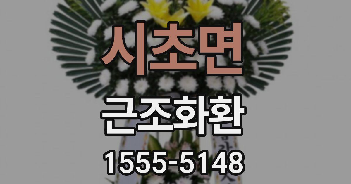 시초면 근조화환