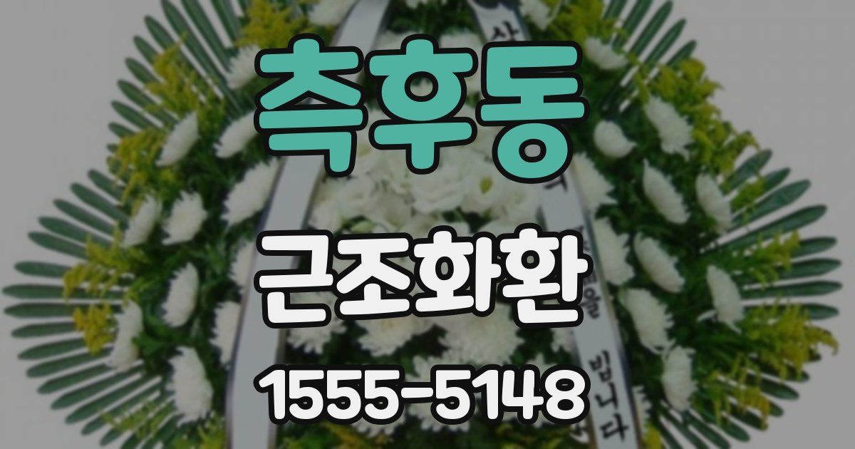 측후동 근조화환