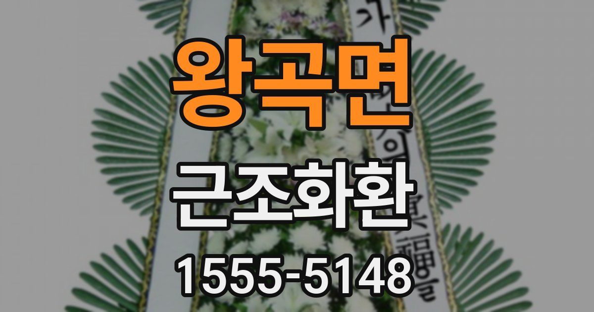 왕곡면 근조화환