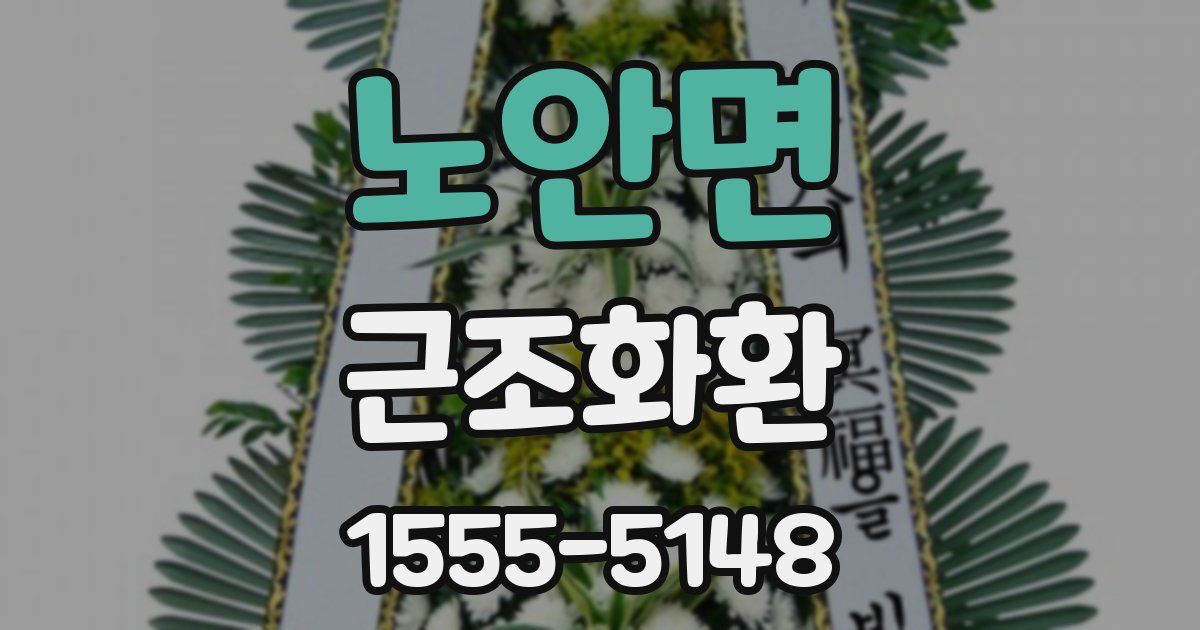 노안면 근조화환