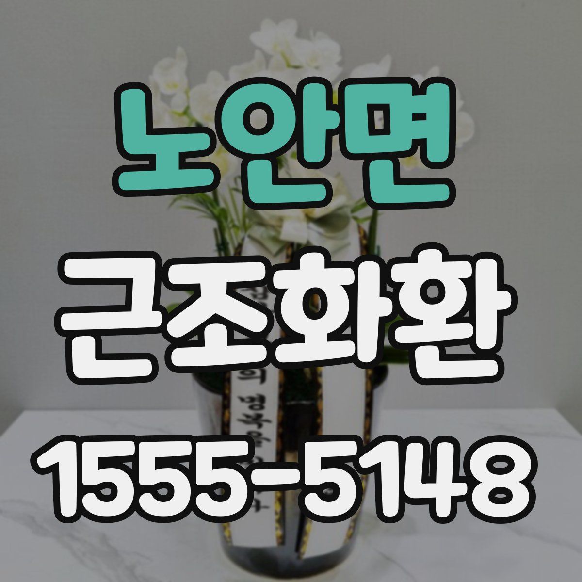 노안면 근조화환