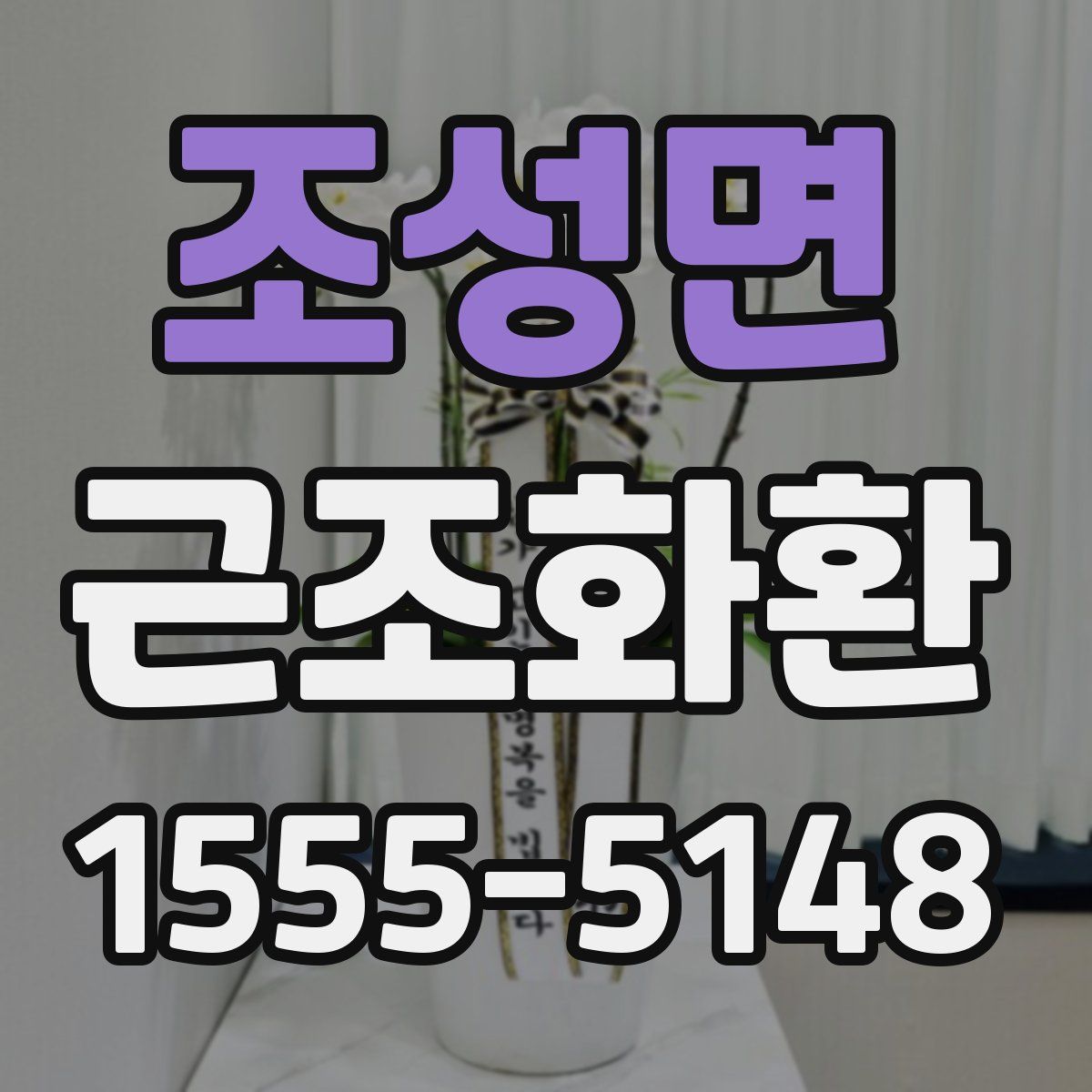 조성면 근조화환