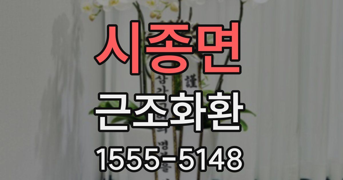 시종면 근조화환