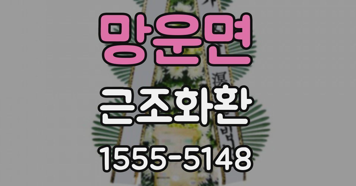 망운면 근조화환