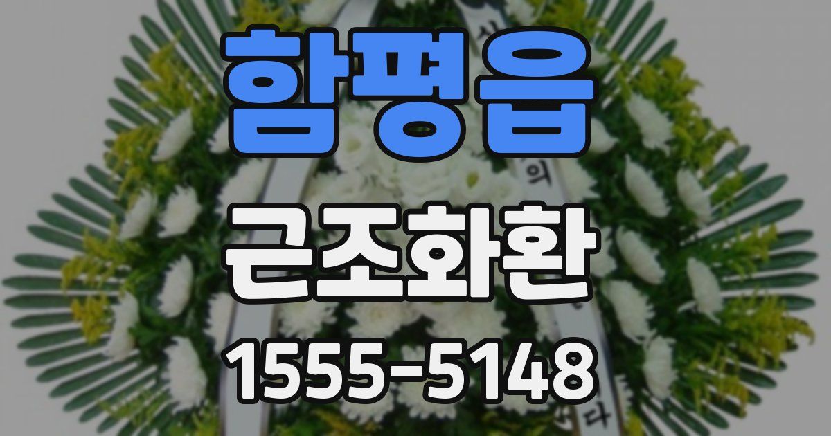 함평읍 근조화환