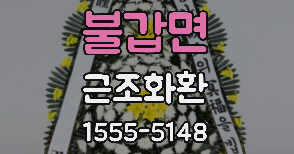 불갑면 근조화환