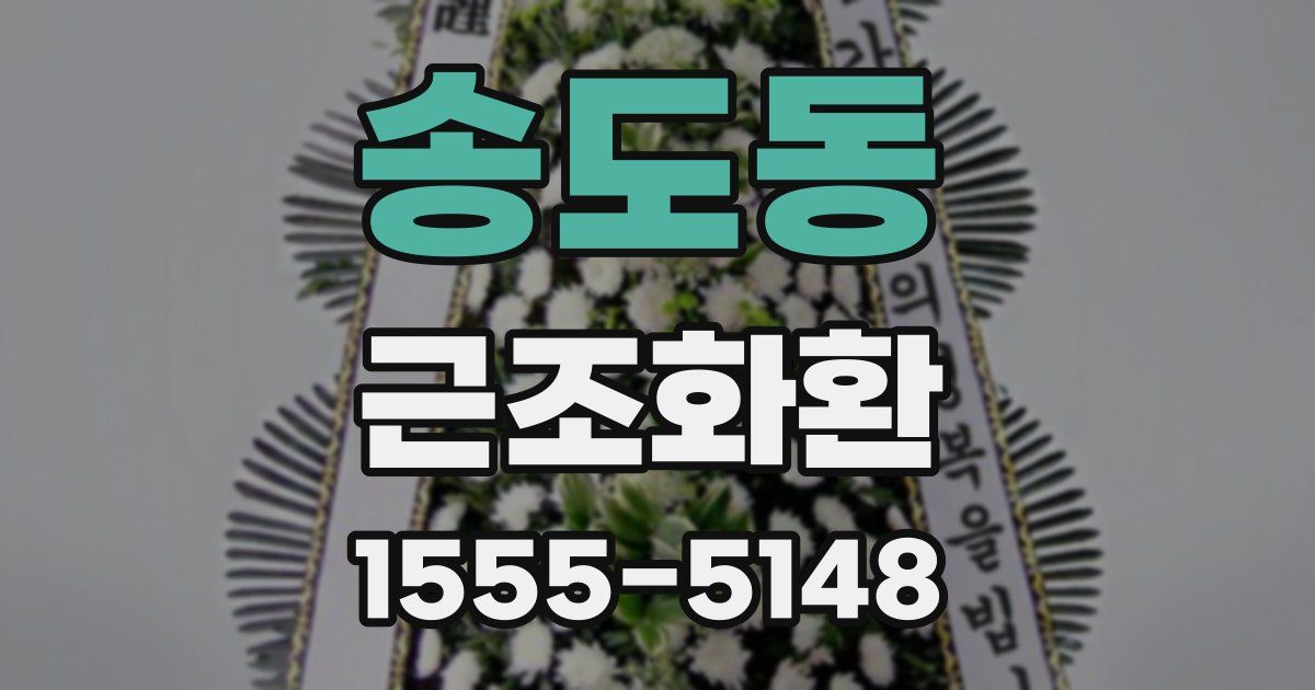 송도동 근조화환
