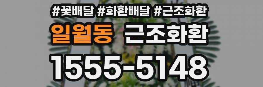 일월동 근조화환
