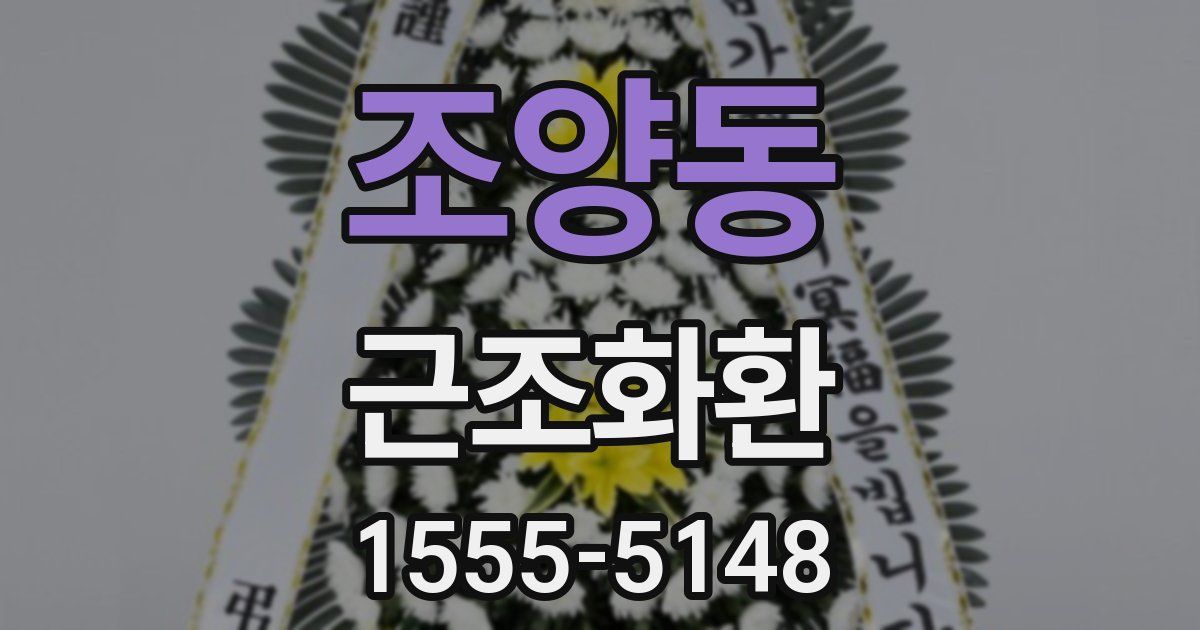 조양동 근조화환