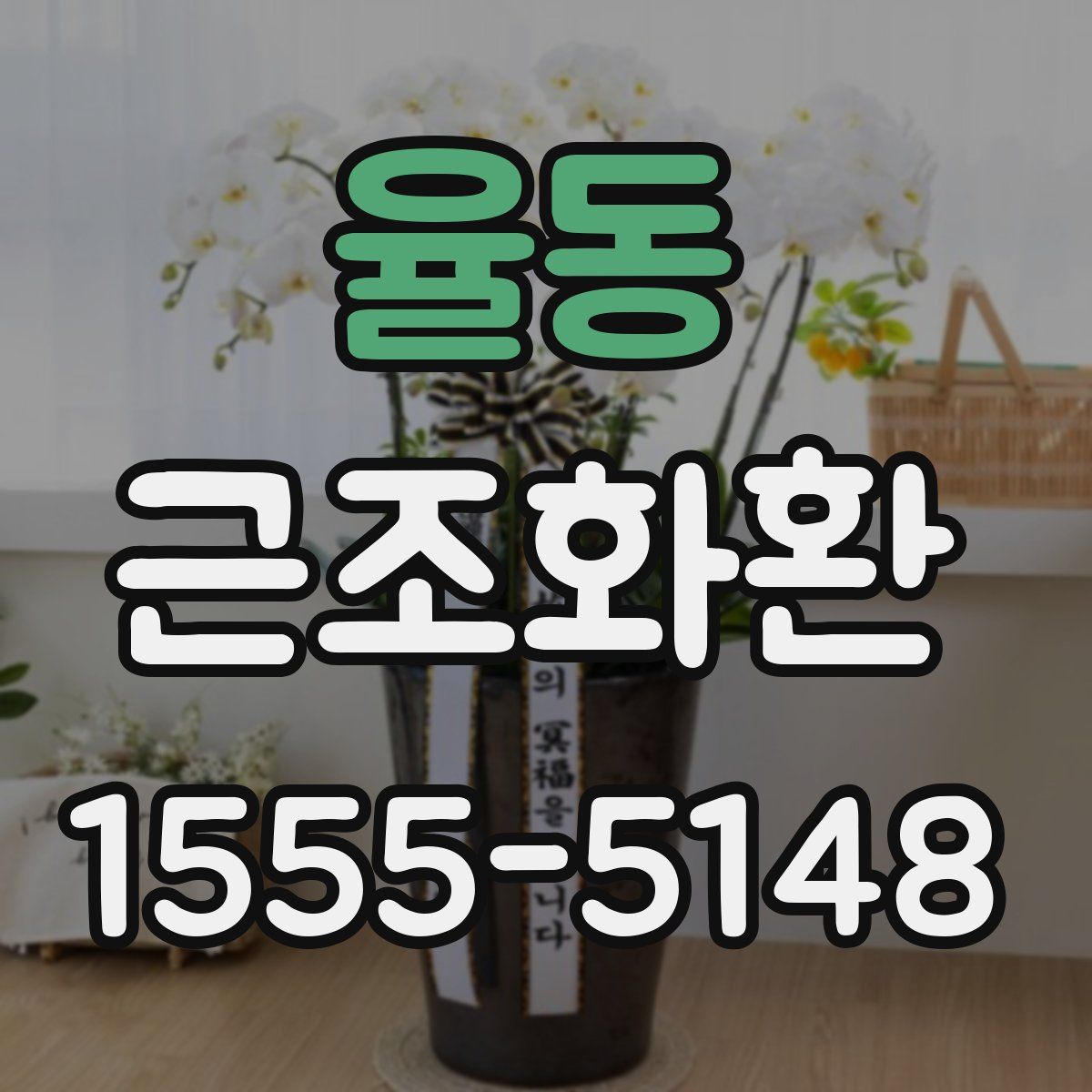 율동 근조화환
