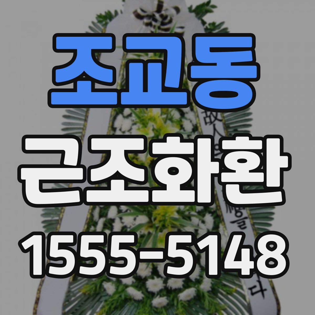 조교동 근조화환