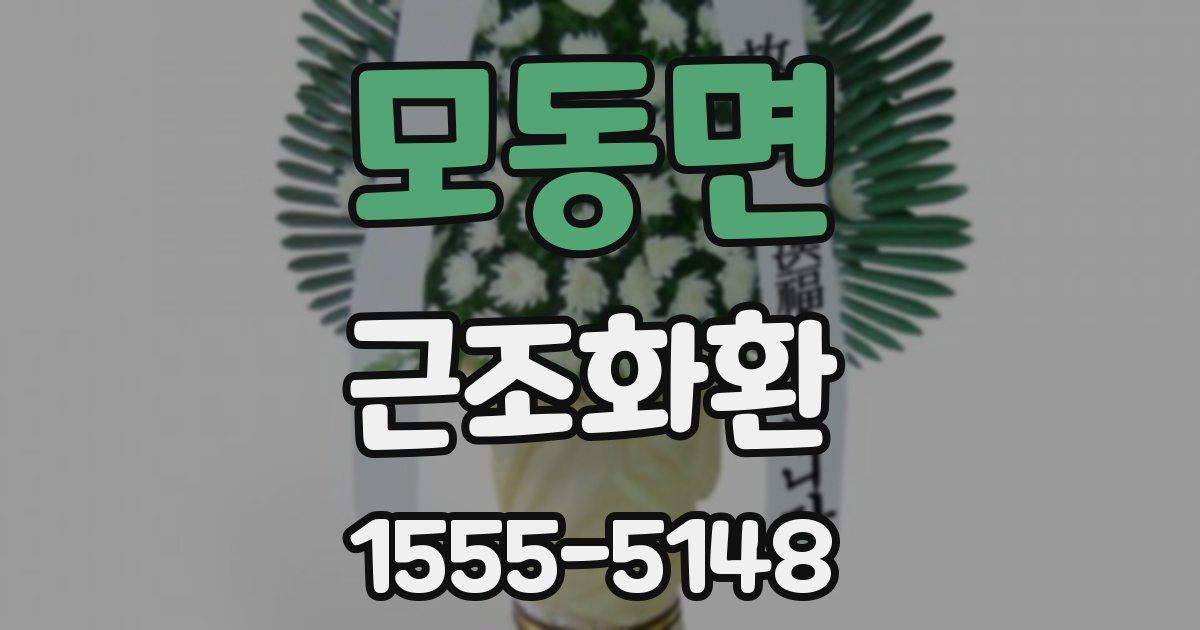모동면 근조화환