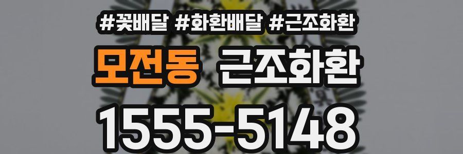 모전동 근조화환