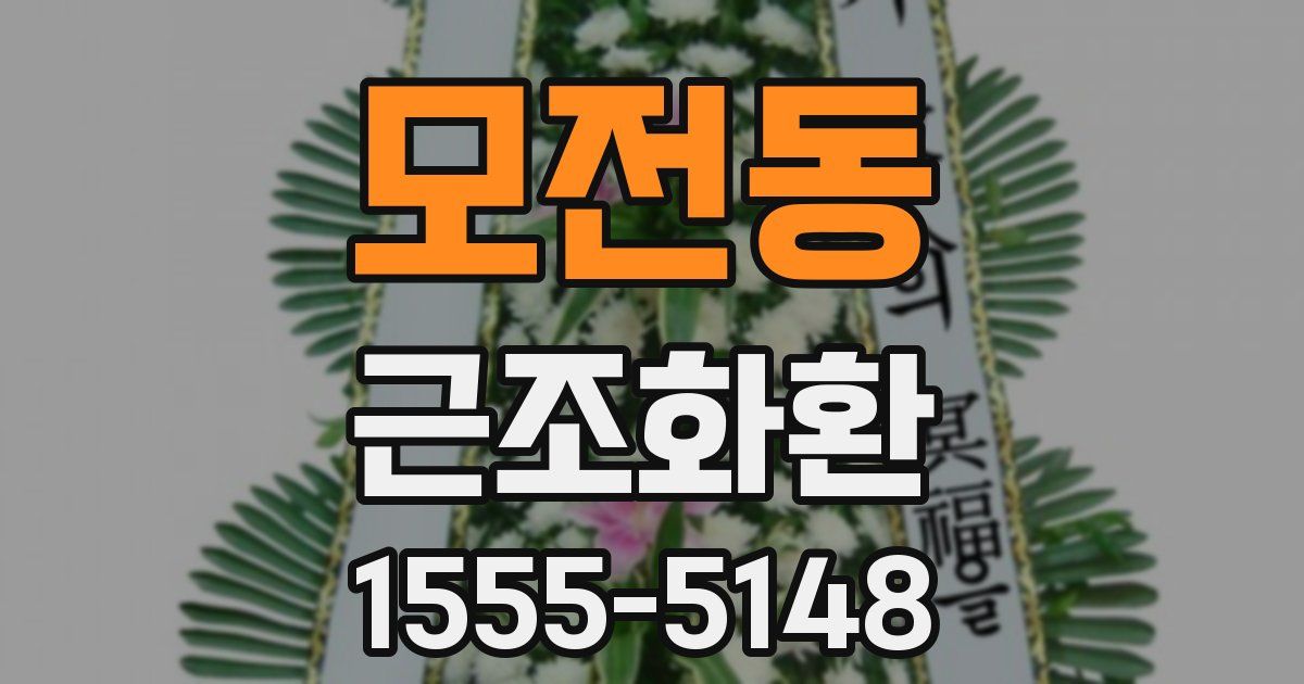모전동 근조화환