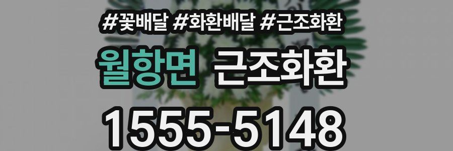 월항면 근조화환