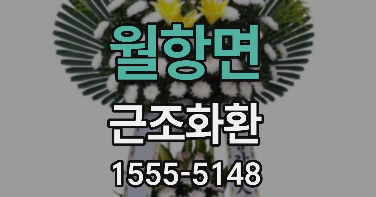 월항면 근조화환