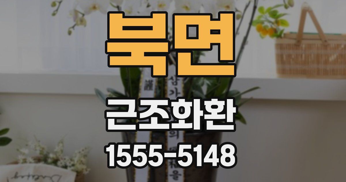 북면 근조화환