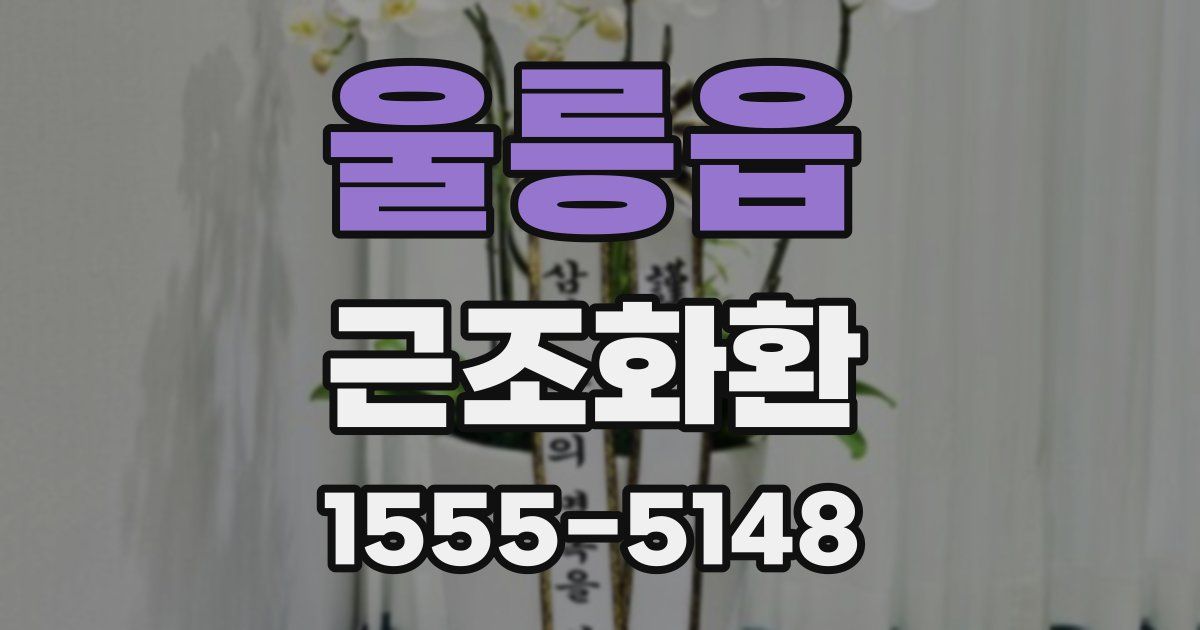 울릉읍 근조화환