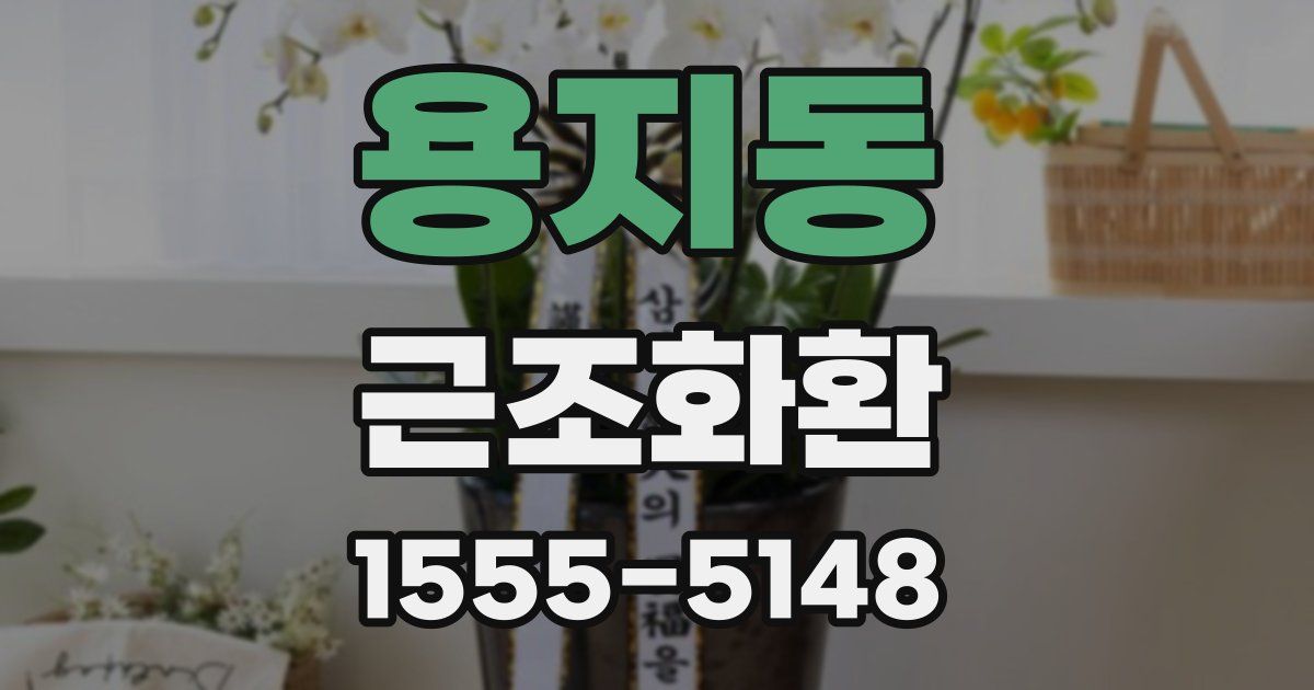 용지동 근조화환