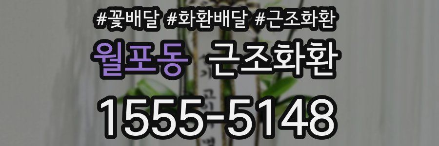 월포동 근조화환