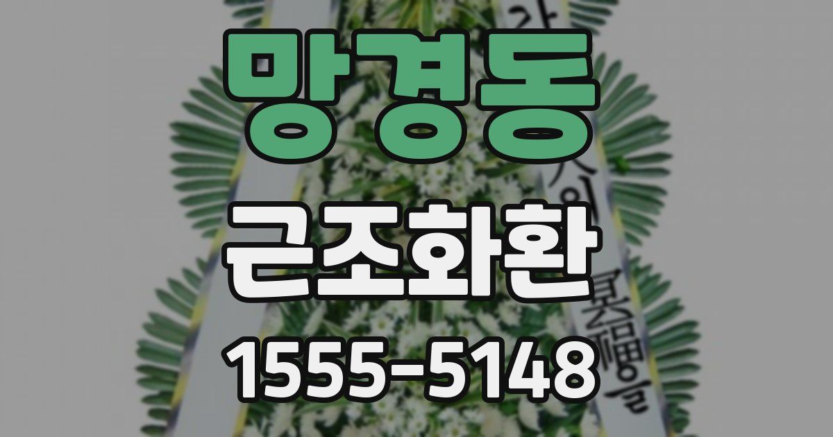 망경동 근조화환