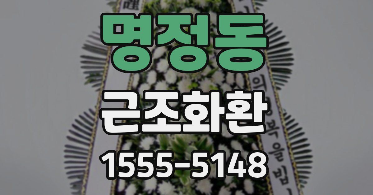 명정동 근조화환