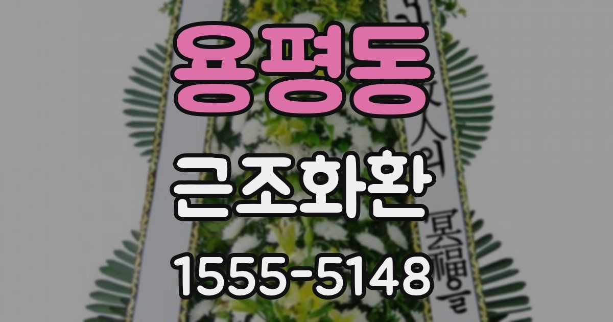 용평동 근조화환