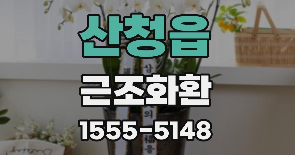 산청읍 근조화환