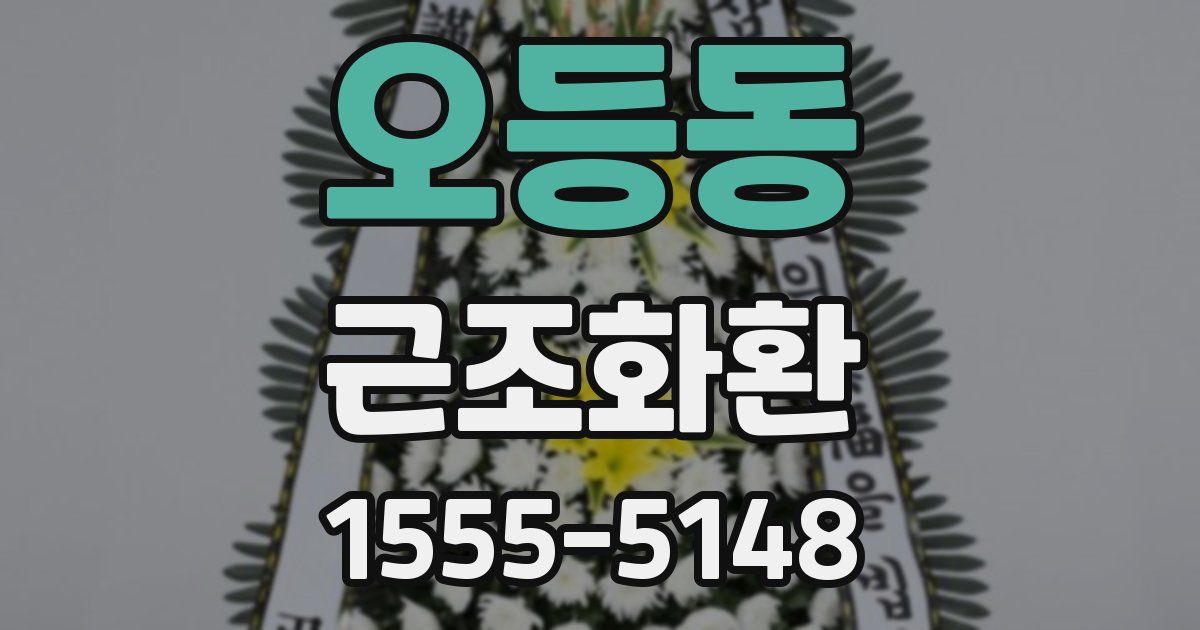 오등동 근조화환