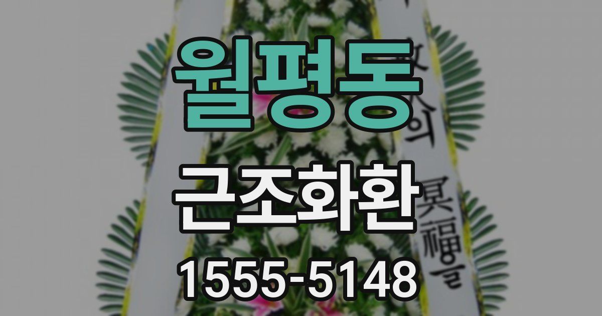 월평동 근조화환