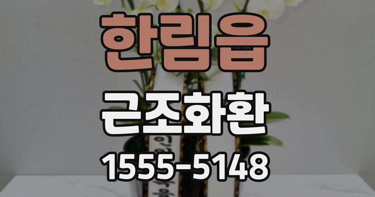 한림읍 근조화환