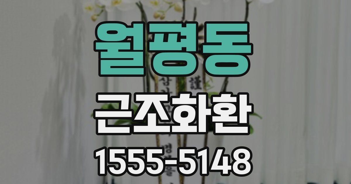 월평동 근조화환