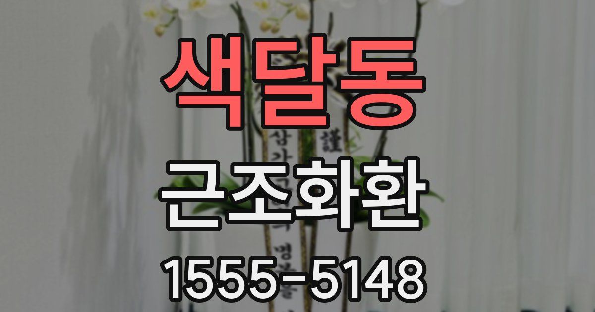 색달동 근조화환