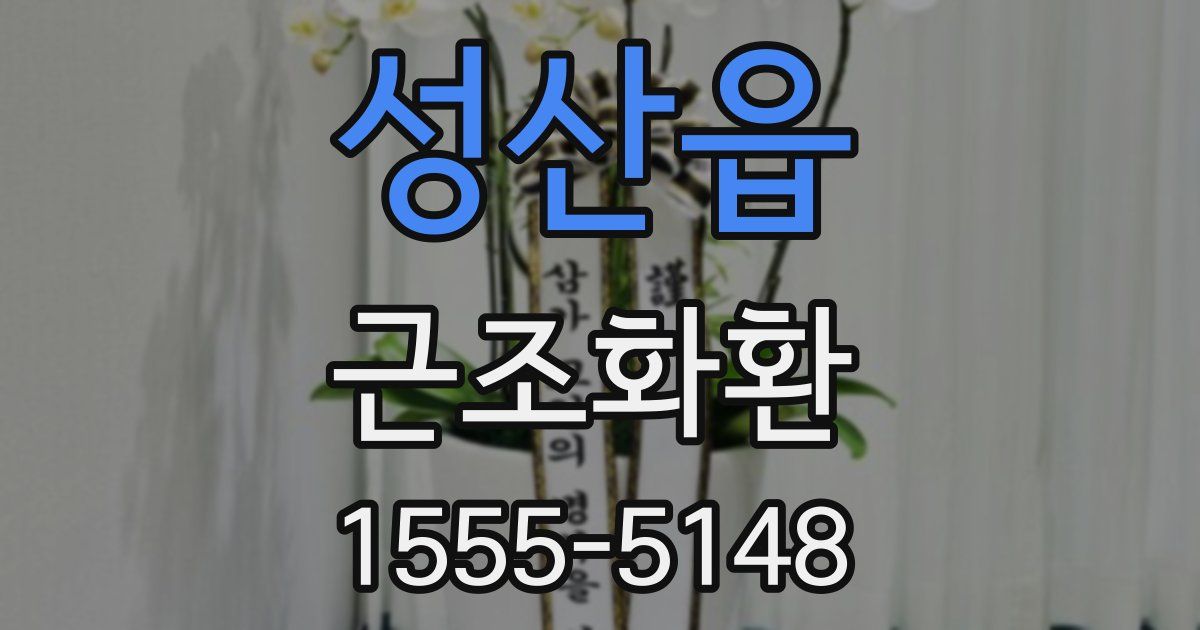 성산읍 근조화환