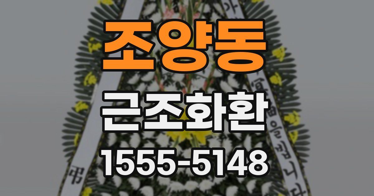 조양동 근조화환